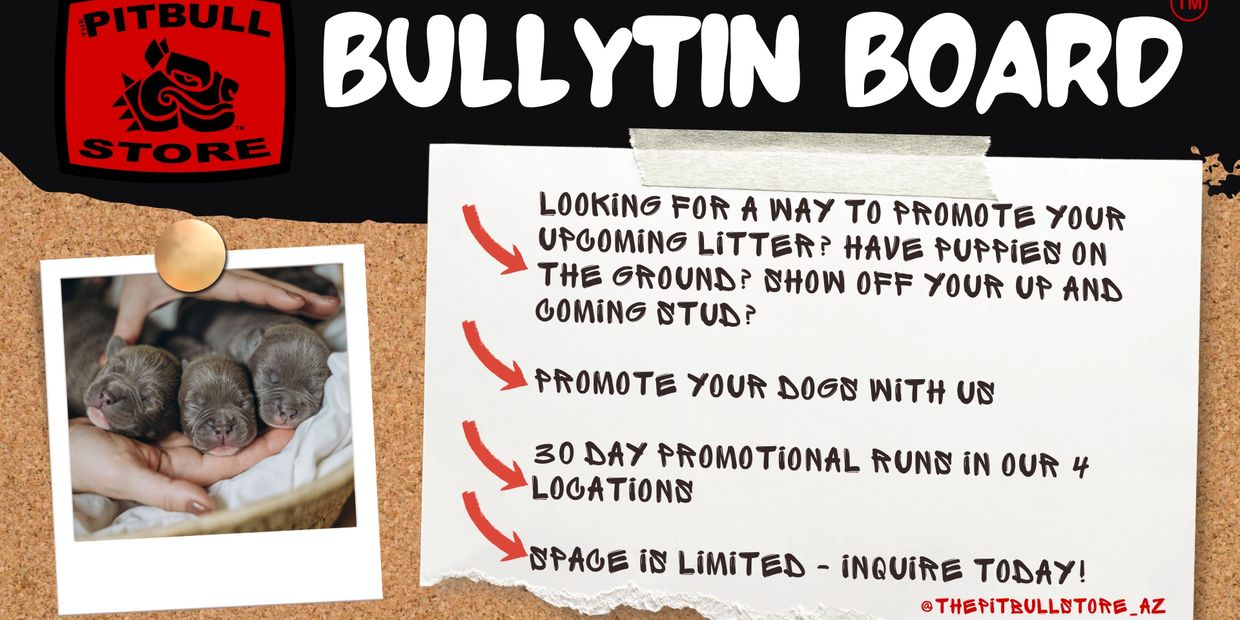 Promote your upcoming litter or stud dogs with The Pitbull Store's 30-day bulletin board ads.
